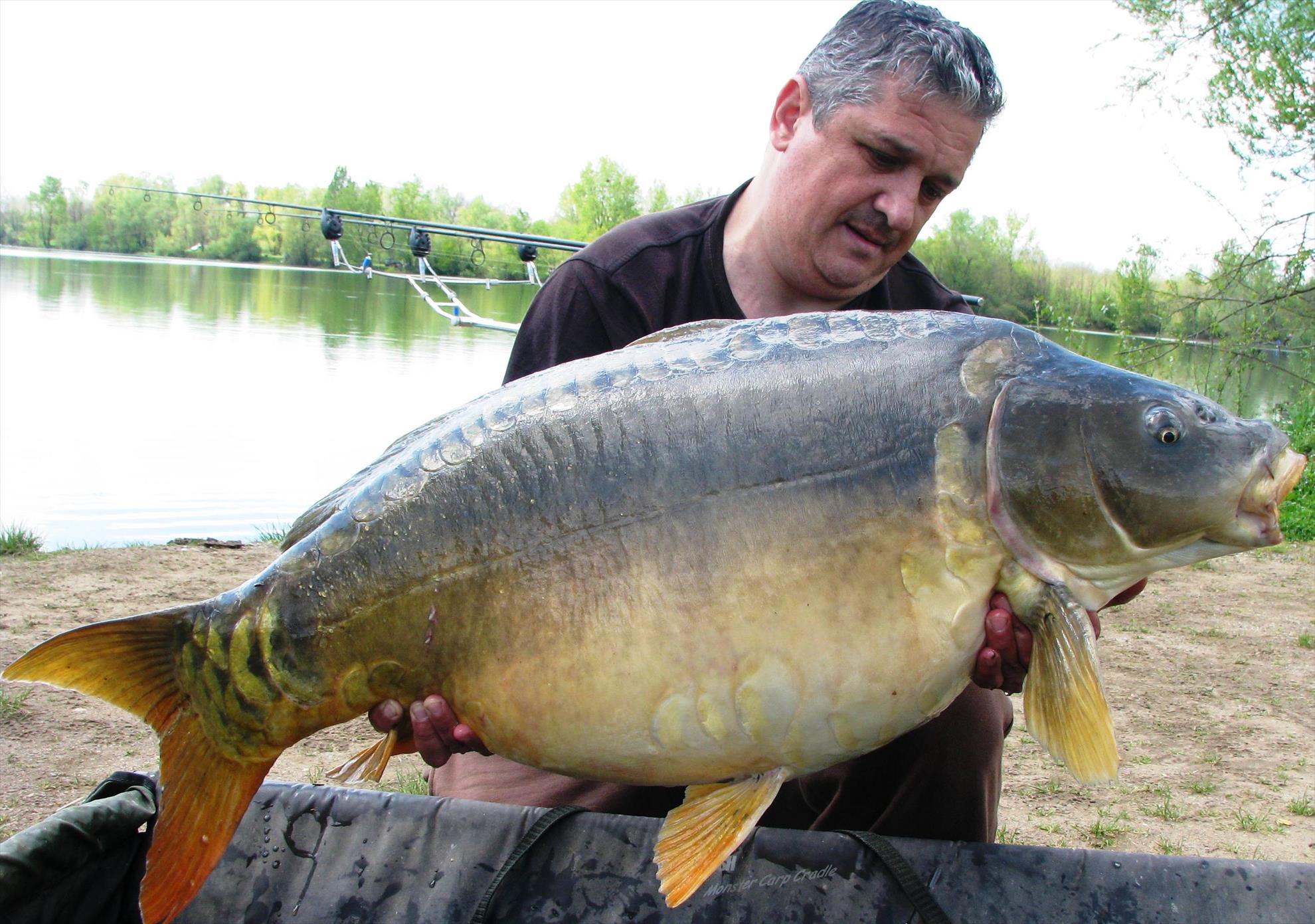 Pelagicevo Jezero  aprilie 2015 - img1998.JPG